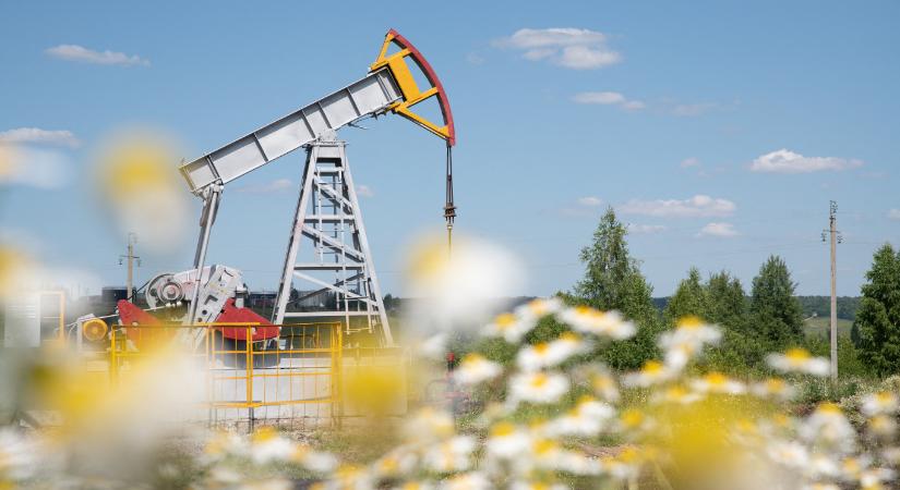 Az EP rövid időn belül kitiltaná az unióból az orosz gázt és olajat