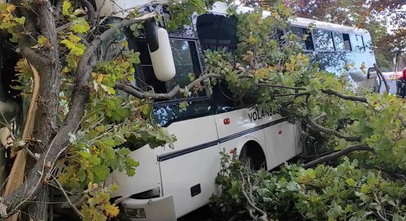 Busz csapódott egy iskola falának Szolnokon – huszonhárom sérültet kellett ellátni