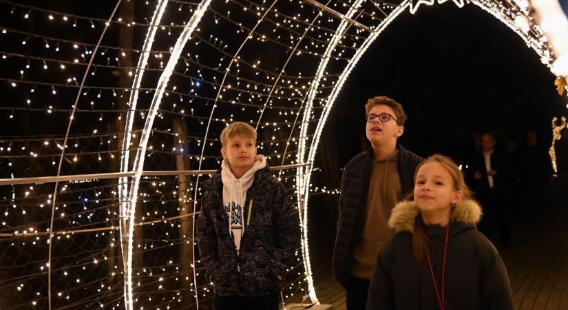 Senki ne lepődjön meg, különös állatok bukkannak fel a Bagolyvár Vadasparkban