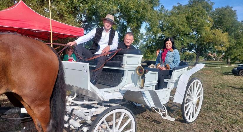 Lovak, fogatok és közösségi összefogás – így született meg Abony új hagyománya