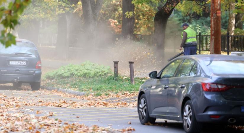 Benzines lombfúvóval küzdenek Kaposváron a levelek és a munkanélküliség ellen