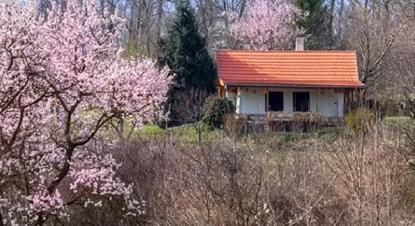 Duna House: új szegmens nyílhat az ingatlanpiacon a zártkerti ingatlanokról szóló kormányrendelet nyomán