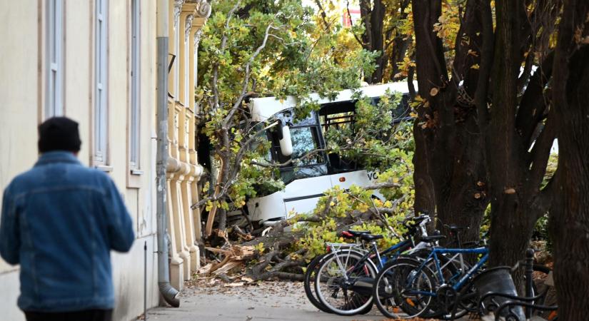 Lázár: A vezető rosszulléte és eszméletvesztése okozta a szolnoki buszbalesetet