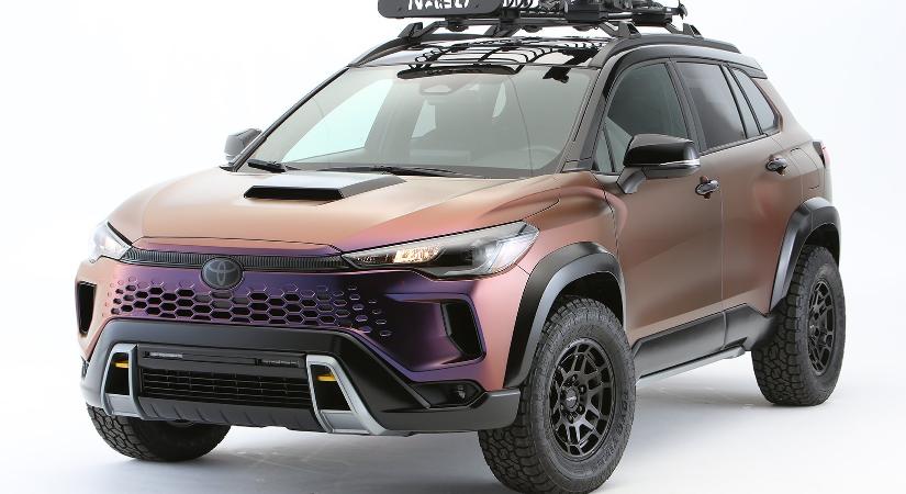 Tökös expedíciós autót építettek ebből a Toyotából