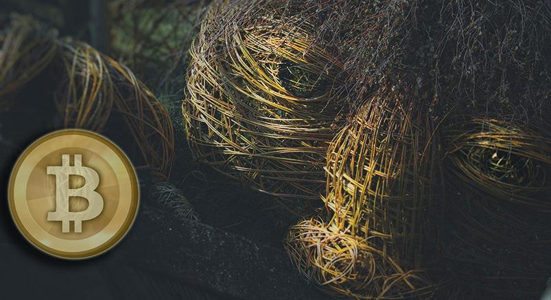 Egy védjegytroll miatt világszerte törlik a Bitcoin-logós termékeket