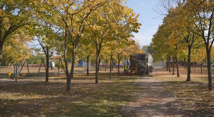 Ökológiai szemléletváltás