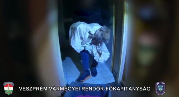 Állatkínzás Veszprémben: kórosan alultáplált kutyát mentettek meg a rendőrök