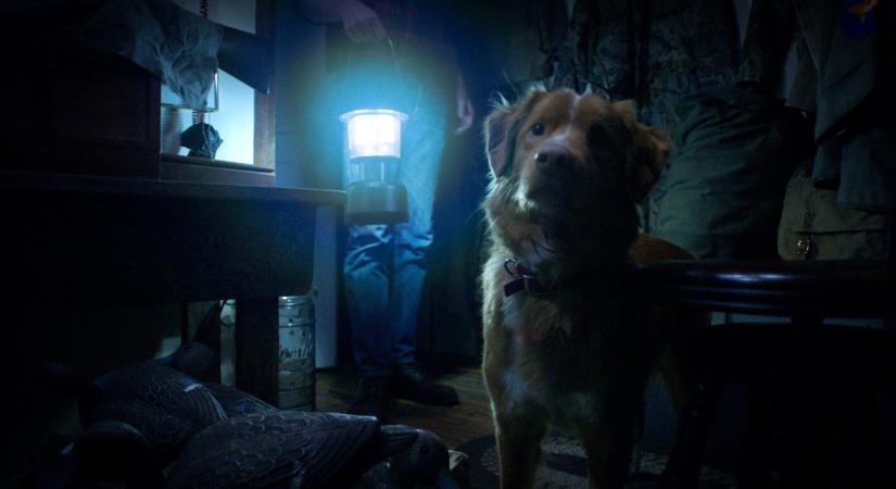 Ilyet még nem láttunk: különleges horrorfilm érkezik a mozikba