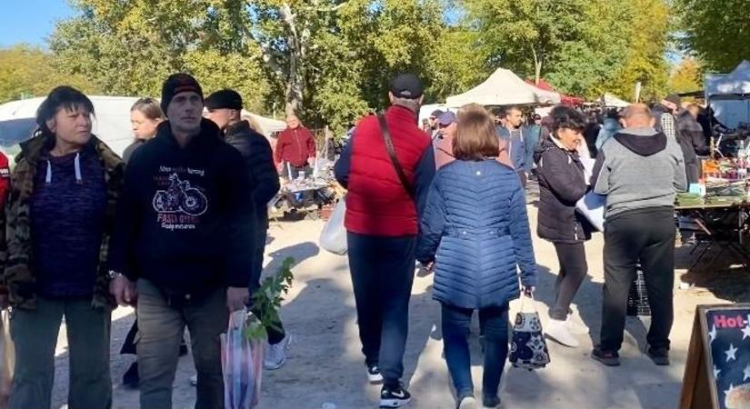 Elképesztő tömeg Dunaföldváron: ilyen volt az országos kirakodóvásár (képgalériával, videóval)