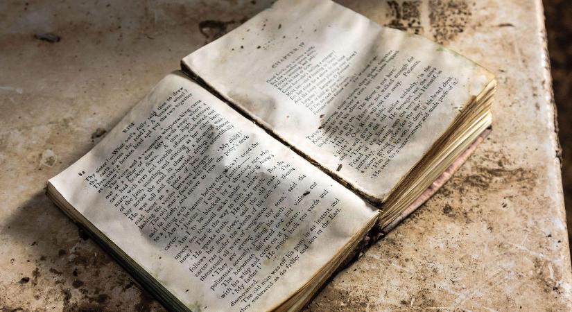 Ettől a 3 magyar szótól minden szlovák retteg, brutális jelentése van