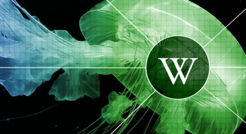 Beleharap a Wikipédiába az AI: egyre kevesebben informálódnak az online enciklopédiából