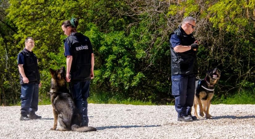 Eltűnt egy gyönyörű kecskeméti kislány, az őszi szünet előtt már nem ment haza – fotó