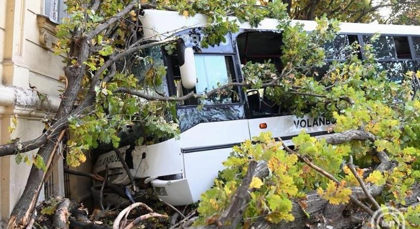 Iskolaépületnek hajtott egy busz Szolnokon