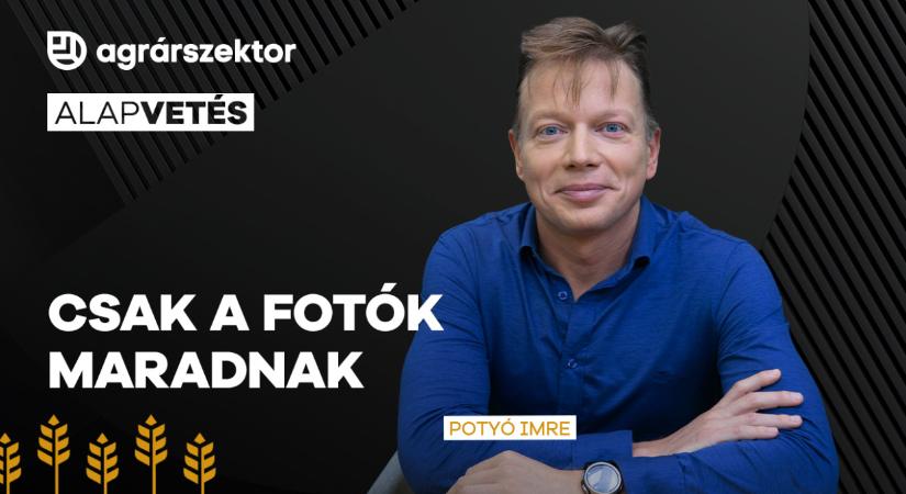 Tragikus gyorsasággal pusztul a természet, csak a fotók maradnak