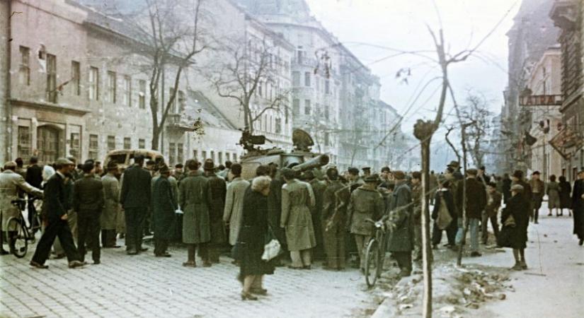 A forradalom mozgóképekben, avagy a legjobb 1956-ról szóló filmek