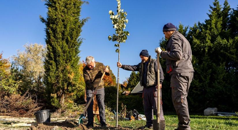 Összefogás a jövőért: közösen szépült meg a Kölcsey utca