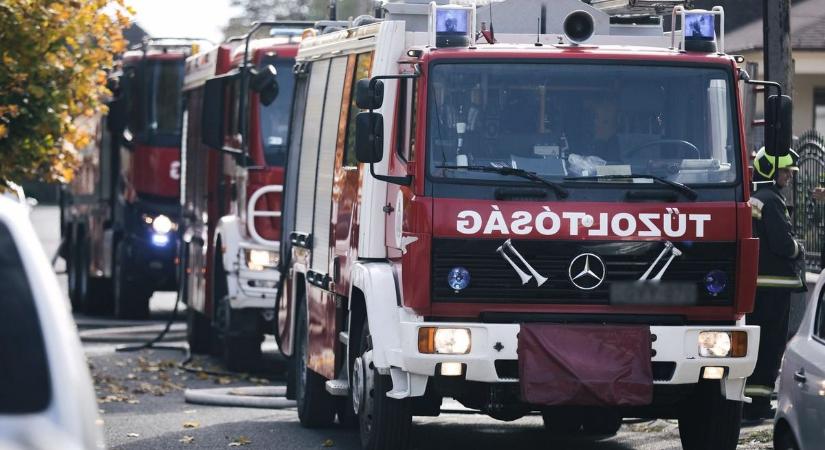 Hatalmas tűz tombol Dunaszekcsőn - több vízsugárral oltják a lángokat