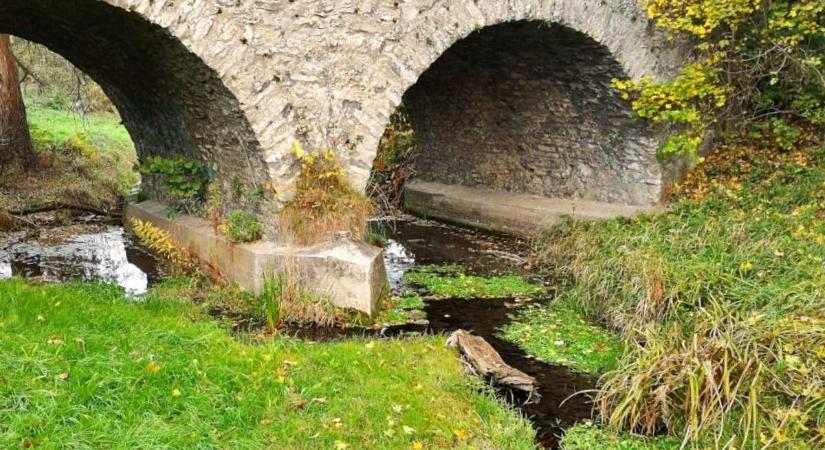 Cuha, Gaja, Gerence – Durva kiszáradás? Hol csörgedeztek bakonyi patakok? (képgaléria)