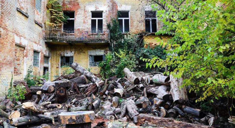 Málló vakolat, korhadó ablakok, túlburjánzott növényzet - így néz ki most a szombathelyi laktanya (fotók)