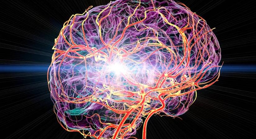 Megoldást találhattak a stroke ellen – ez az étel védhet a betegségtől