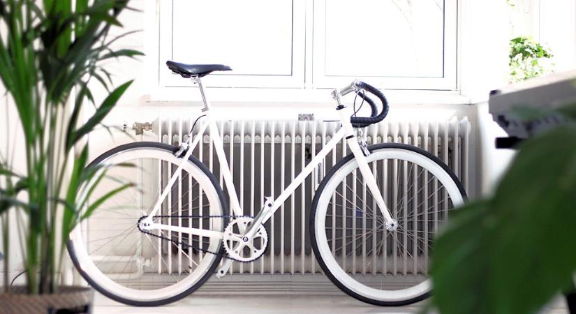 A növény azt hitte, hogy még nyár van – fűtött szobában téli sokk