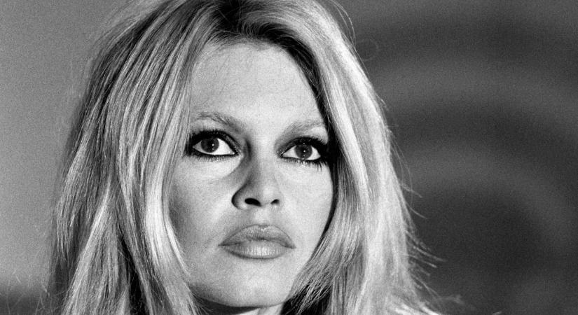„Nem tudom, melyik bolond indította el ezt az álhírt” – Dühösen cáfolta a pletykákat Brigitte Bardot