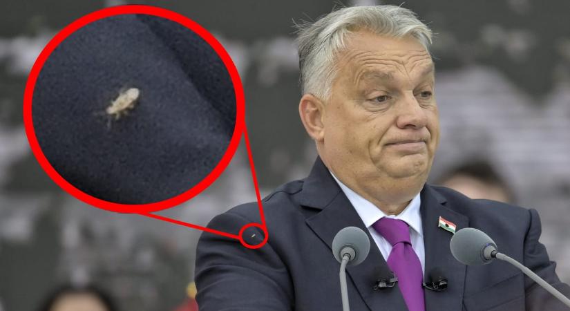 Poloskagyanú: valami mászkált Orbán Viktor zakóján október 23-ai beszéde közben