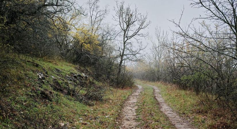 Pénteki időjárás: elvonul a csapadék, de marad a szeles, hűvös idő
