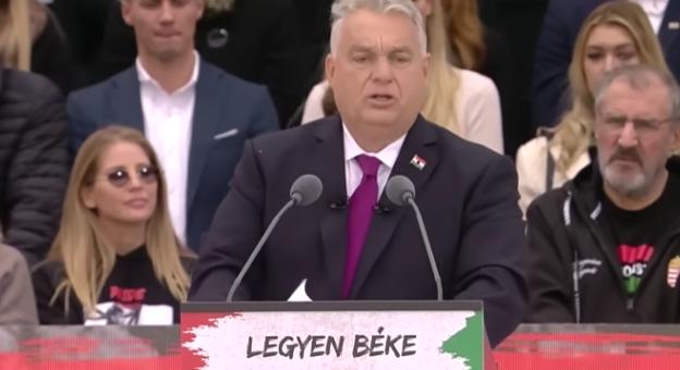 Poloska sétálgatott Orbán Viktor zakóján, miközben ünnepi beszédét tartotta