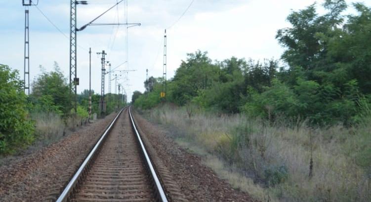 Kidőlt egy fa, órákra leállt a vasúti közlekedés a dél-balatoni vonalon