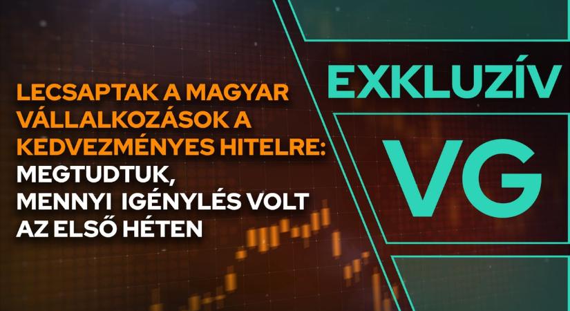 Lecsaptak a magyar vállalkozások a kedvezményes hitelre: sorra érkeznek az igénylések