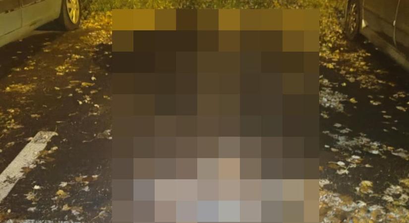 Csukott szemmel csinálta az esti órákban? Titokzatos eset az Érkertben... (fotókkal)