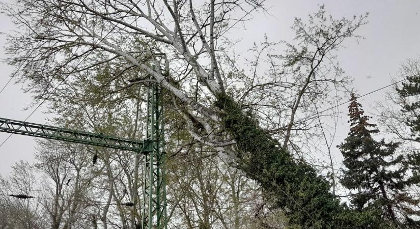 Káoszba taszította a vihar a balatoni vasútvonalat, miután leszakadt a felsővezeték
