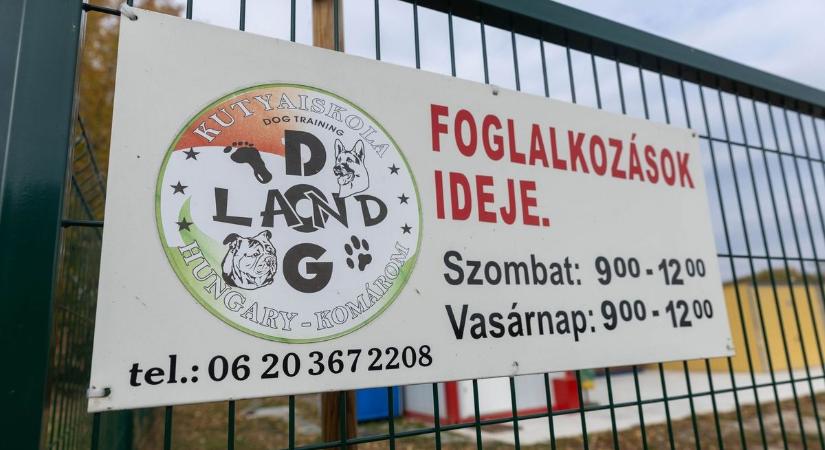 Új helyszínen várja a gazdikat és kedvenceiket a Dogland Kutyaiskola