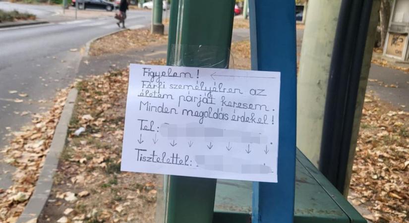 Nem hiszed el, hogy keres magának párt egy nő Szegeden - Fotó