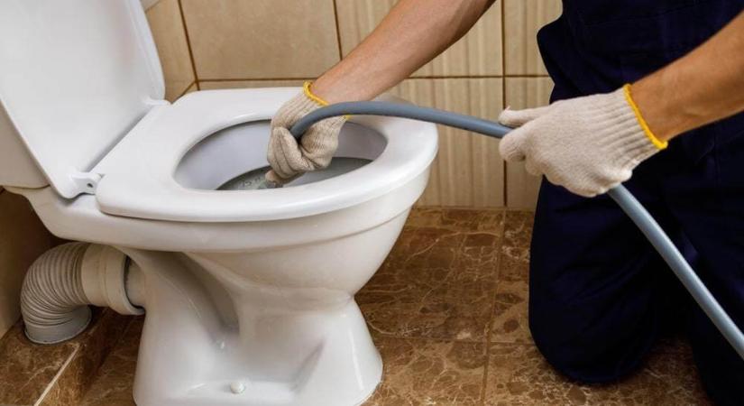 A vízszerelő dugulást akart elhárítani Kazincbarcikán, de amit a WC-ben talált, arra senki sem készülhet fel