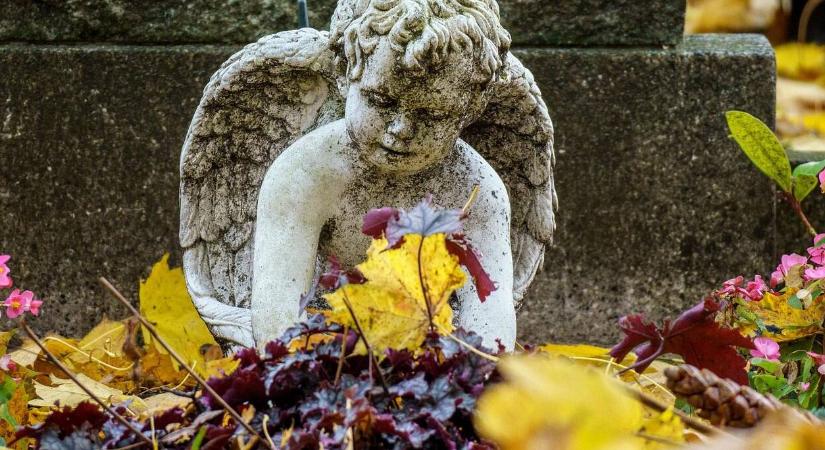 Télen is ápolt sírhely – Így válasszunk növényeket!