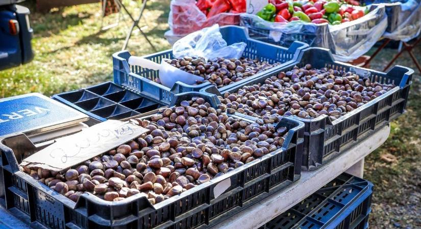 Feldobná a vasárnapi menüt? Adunk hozzá néhány gesztenyés receptötletet