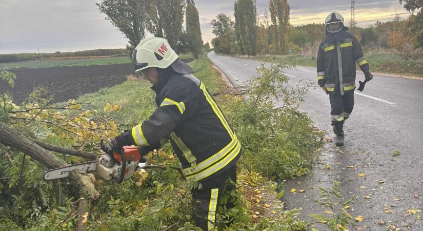 Fakidőléshez riasztották a tűzoltókat