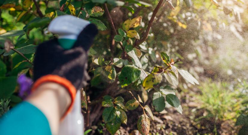 Figyelmeztetik a kerttulajdonosokat! Ezt tudnod kell, mielőtt ideér a fagy