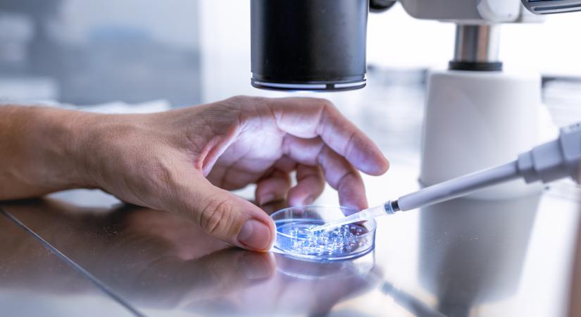 Egy tenyérnyi szegedi laborban dőlhet el, melyik rákos betegnél melyik terápia működik