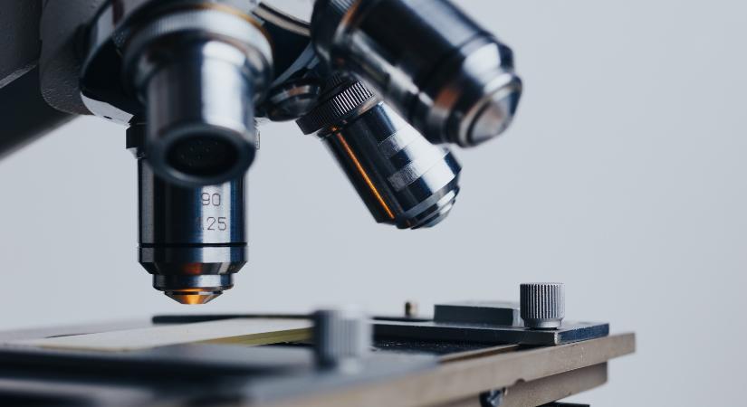 Célzott ajánlások a döntéshozók számára az antimikrobiális rezisztencia megfékezésére
