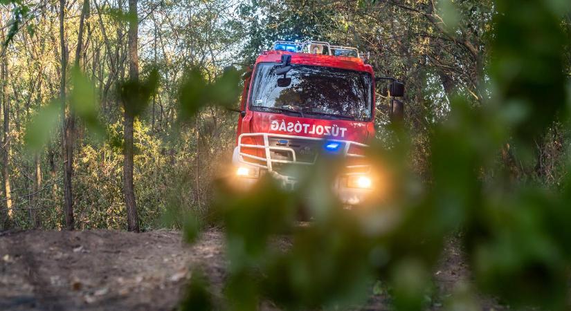 Háromszáz káresethez riasztották a tűzoltókat a viharos erejű szél miatt szerte Magyarországon