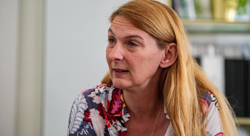 Baranyi Krisztina elvonná az illetékes fővárosi közgyűlési bizottságtól a hatáskört a Sziget ügyében