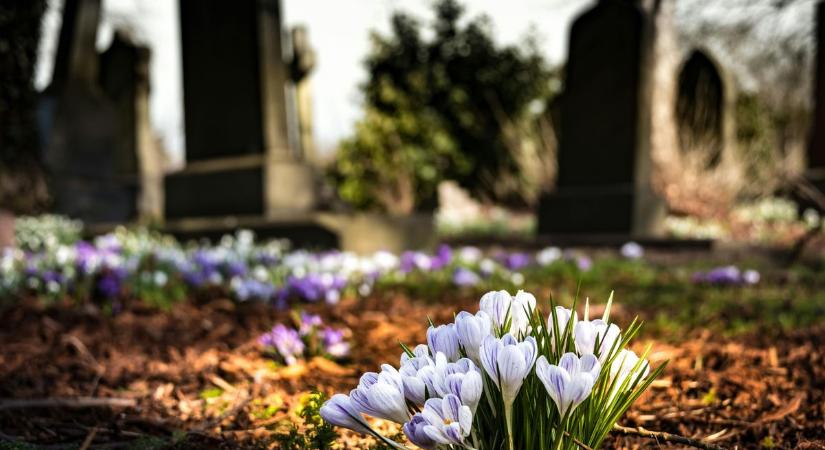 Fontos tudnivalók a komáromi temetők nyitvatartásáról