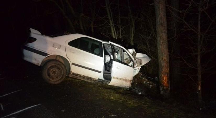 Egyetlen pillanat alatt történt a baj: fának csapódott egy autó Jánoshalmán péntek este
