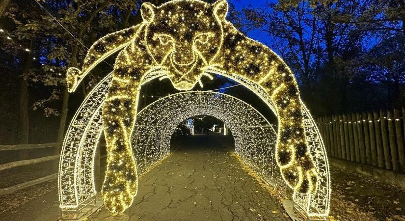 Fényállatok költöztek a szolnoki vadasparkba, megnyílt a NEFAG új esti attrakciója