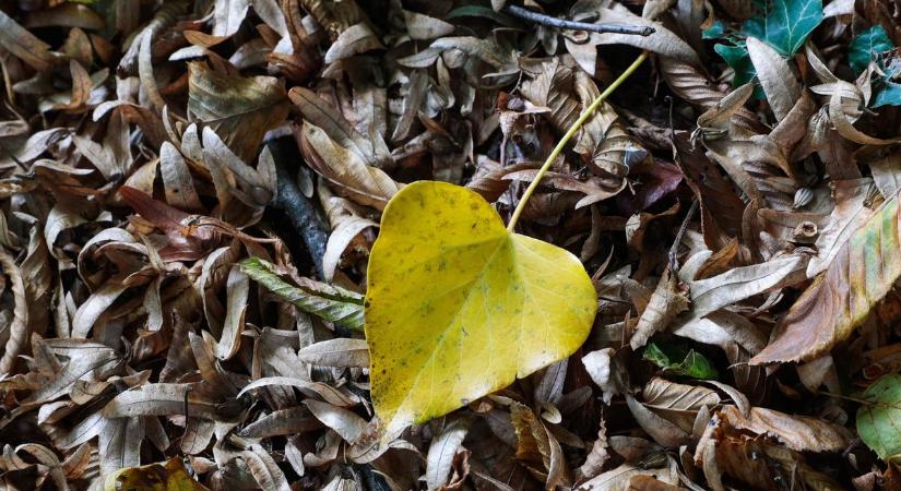 Hűvös, szeles idő van kilátásban szombatra Vas megyében