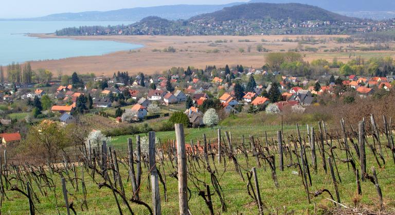 Az új szabályozás után megnőhet a kereslet a zártkerti ingatlanok iránt