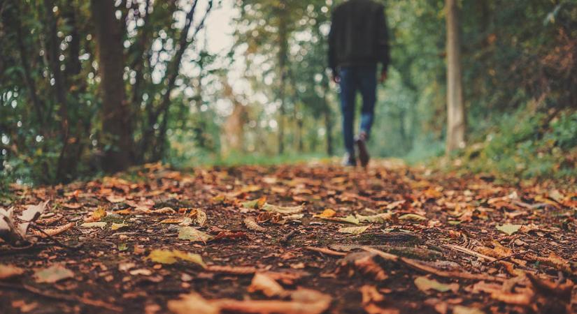 Változékony, szeles idő lesz a hosszú hétvégén, többször eshet az eső